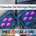 Cápsulas De Hormiga Negra 03